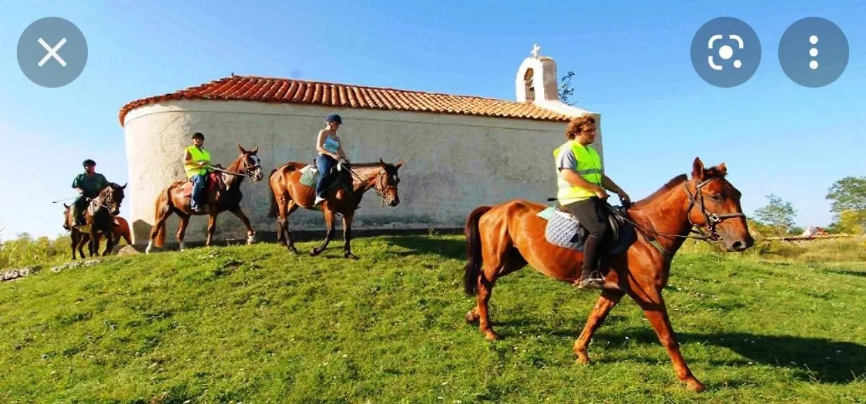 Villa Panta Zadar Croatia
